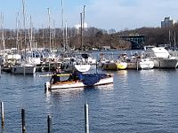 IMG 20190320 104144822