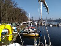 IMG 20190323 091849953