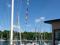 DSCF2367