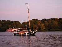 IMG 4929