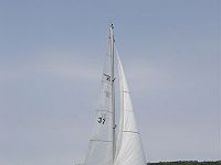 036