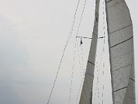 IMG 8783
