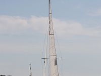 IMG 7473