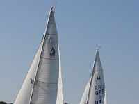 IMG 7909