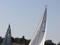 IMG 7995