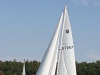 IMG 8036