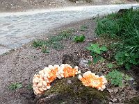 IMG 20180802 085618868