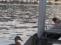 IMG 20180807 193128230