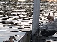 IMG 20180807 193135073