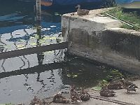 IMG 20190730 090416426