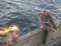 IMG 20190910 163148604