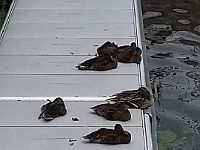 IMG 20200621 102936276