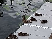 IMG 20200621 103019465