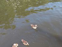 IMG 20200624 094226805