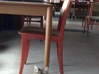 IMG 20200706 114818352