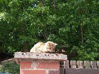 IMG 20200706 115224132