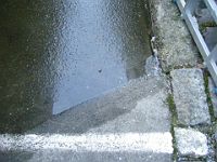 DSCF0320  27. Januar. Wasserspiegel ist noch immer nicht gefallen.