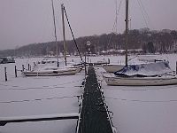 signal-2021-02-09-103428 (2)