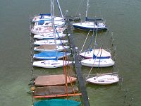 Baumfaellung 18.08.2008 (37)  vom Kran