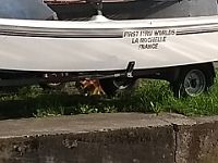 IMG 20180428 074602834